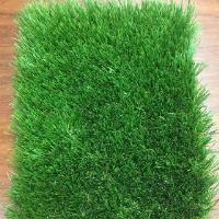 Turf Pros Solution Highlands Ranch image 6